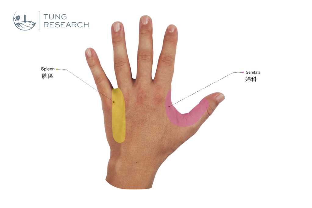 Photo 4 — les zones étendues. Images inédites.
