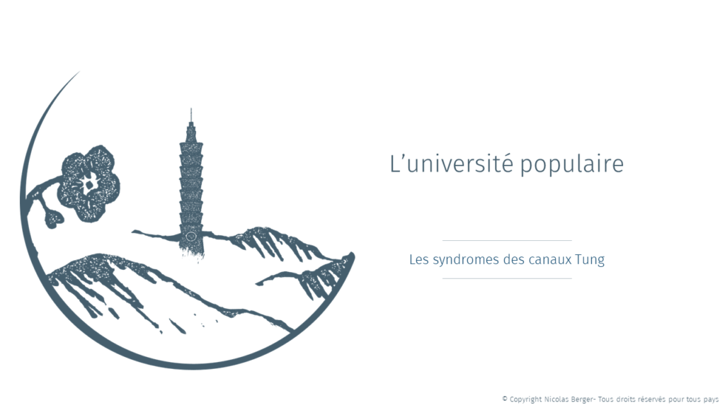 Page de couverture de l'article "L'université populaire - Acupuncture Tung" par Nicolas Berger dans des cours gratuits en acupuncture Tung