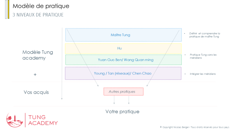 Modèle de pratique de l'acupuncture Tung; formation Tung academy